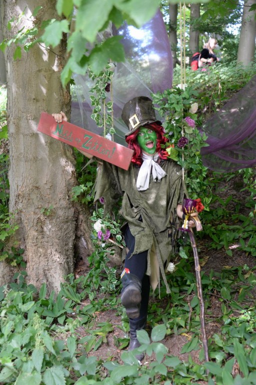 ../Images/Castlefest 2017 zaterdag 100.jpg